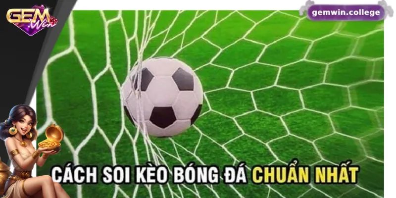 Kinh Nghiệm Soi Kèo Bundesliga Hiệu Quả Từ Cao Thủ Cá Cược 3 Bí quyết cá cược hiệu quả từ cao thủ