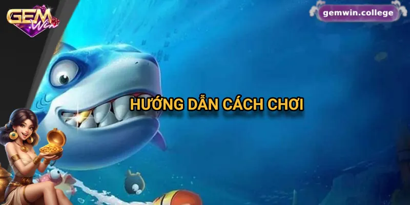 Hướng Dẫn Chơi Bắn Cá Xèng Từ Cơ Bản Đến Nâng Cao Tại Gemwin 2 Hướng dẫn từ A đến Z cách chơi bắn cá xèng cơ bản