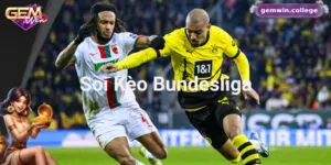 Kinh Nghiệm Soi Kèo Bundesliga Hiệu Quả Từ Cao Thủ Cá Cược